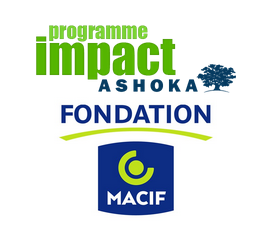 logo programme impact ashoka